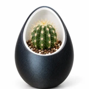 Home Modern Egg-Shaped Cactus Planter