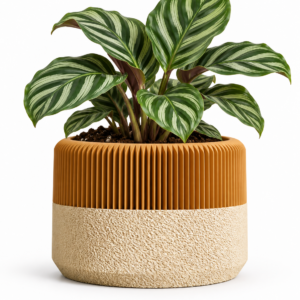Sahara Ribbed Planter