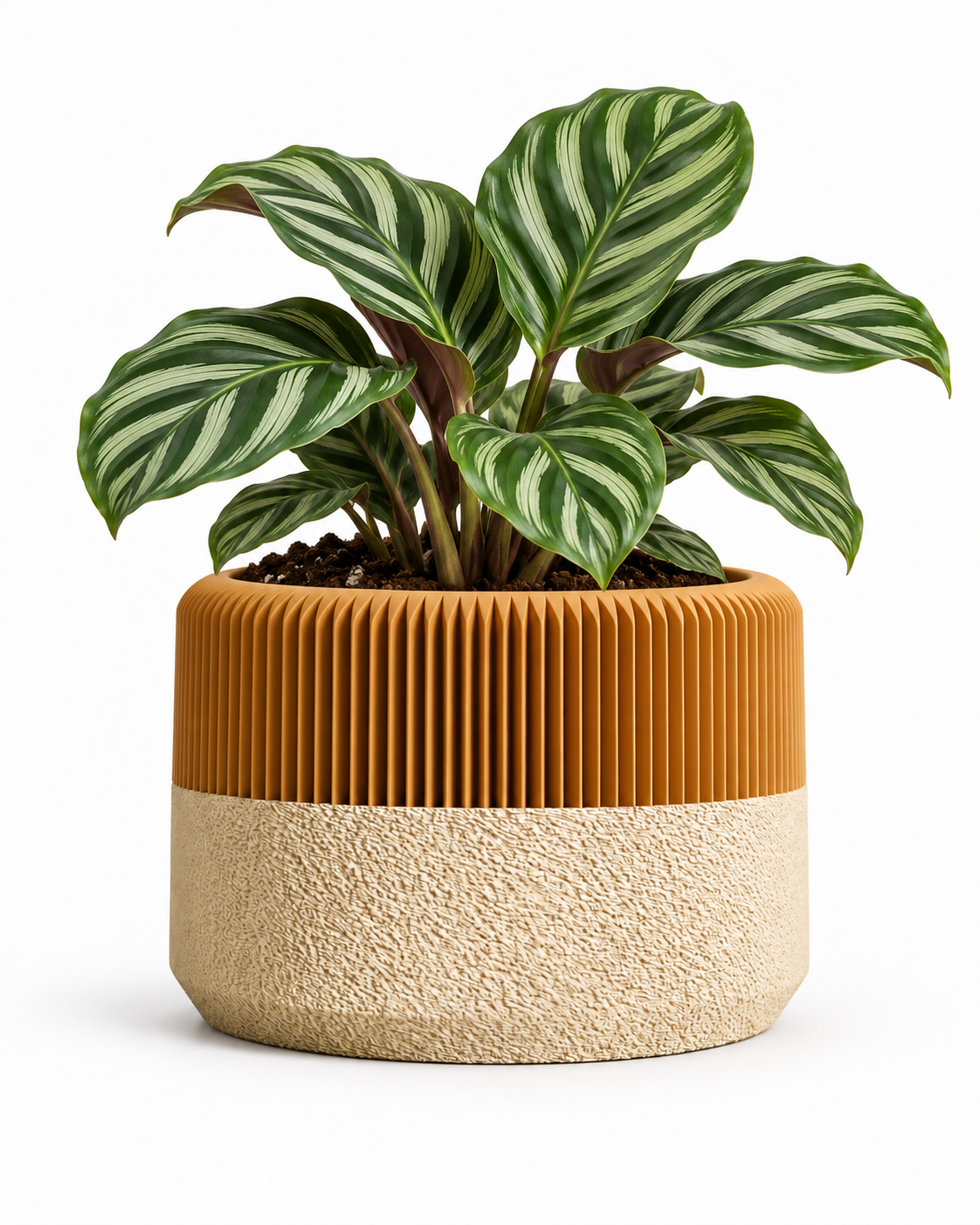Sahara Ribbed Planter Sahara Ribbed Planter